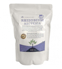 Rhizobium Bacteria - Nitrogen Fixing Bacteria 1 Kg